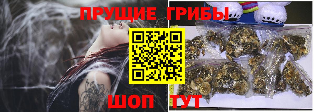 Родники  Псилоцибиновые грибы ЛСД  Вход с VPN 